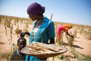 Journée mondiale de la FEMME 2012: Pour l’égalité jusque dans les zones rurales – ONU-OMS
