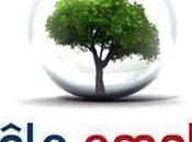 Joly folie emplois verts