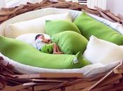 grand douillet Giant Birdsnest