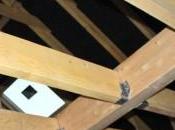 Combles Extension plancher bois