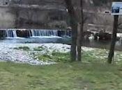 Video trail pays Viganais 2012