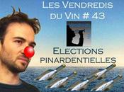 Vendredis #43: Élections Pinardentielles résultat