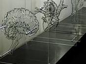 Architecture anatomique Federico Carbajal