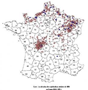 VIRUS SCHMALLENBERG: 2.059 exploitations touchées en Europe, 670 en France – Ministère de l’Agriculture