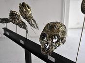 C'est samedi vous SHAG).