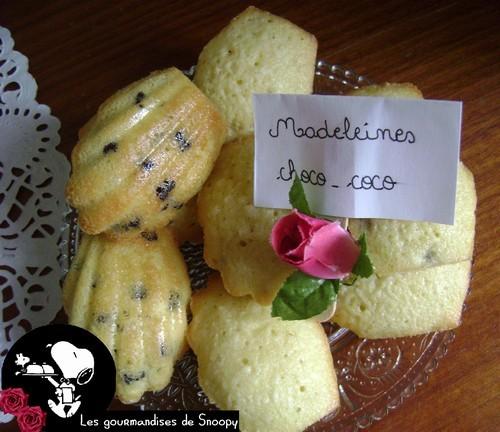 madeleines-choco-coco.jpg