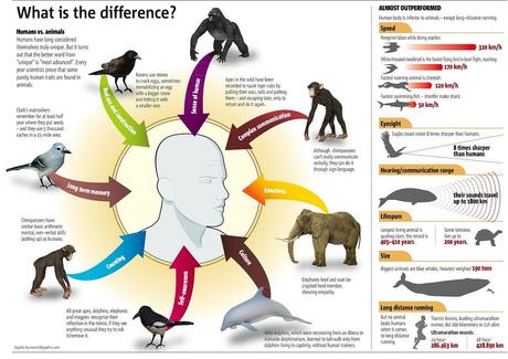 infographie humains vs animaux gnd geek Infographie   Animaux vs humains infographies  geek gnd geekndev