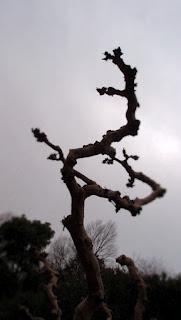 Un triste anniversaire...