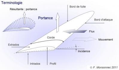 Portance : pourquoi ça vole ? Portance : pourquoi ça vole ?