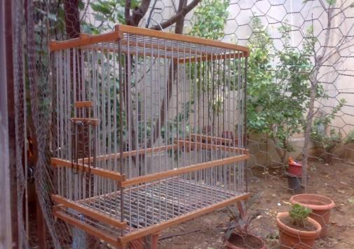 Enfermé dans une cage en bois depuis 23 ans