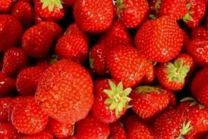 Les bienfaits du fraise