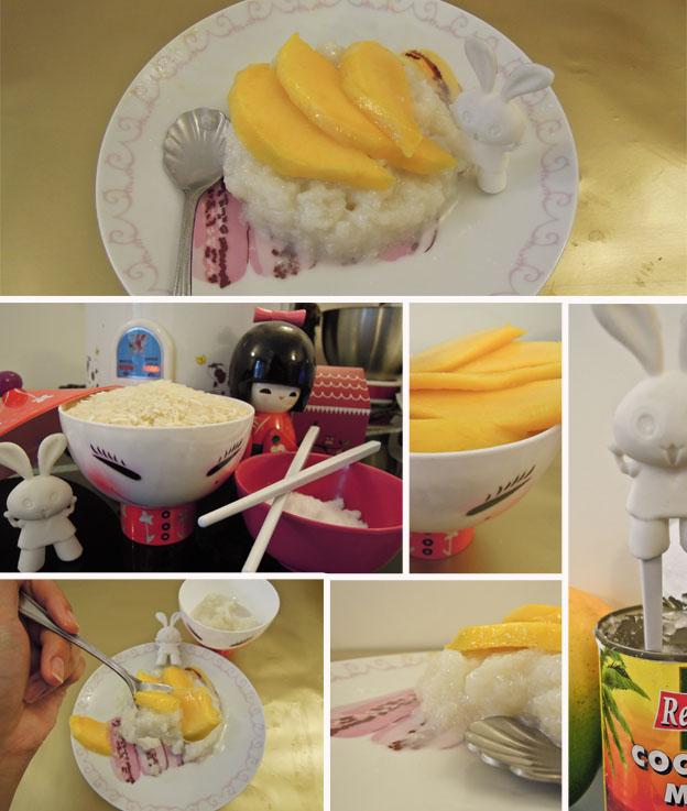 Souvenirs de Thaïlande, mango sticky rice – Homemade