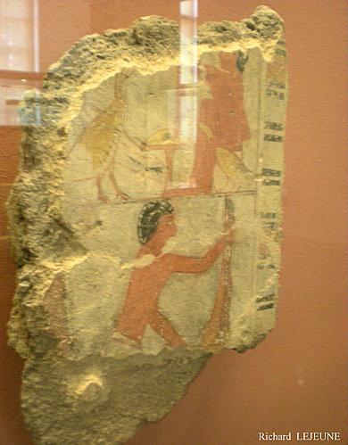 Fragment E 25519 (2009)