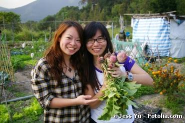 Ecotourisme : devenez wwoofer dans une ferme bio !