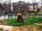 L'homme mémoire poisson rouge