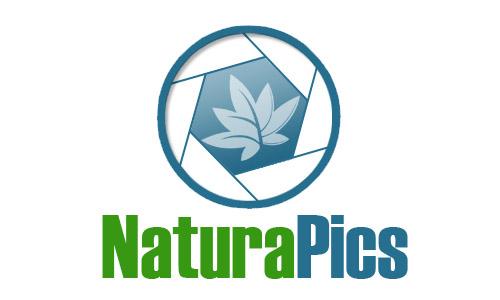 Naturapics.com – communauté francophone de photographie nature