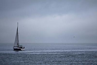 Claire et définitive