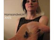 Dossier Patrick Sandwich Ants