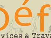 DEFI Services Travaux, Serez-vous prêts pour l'été