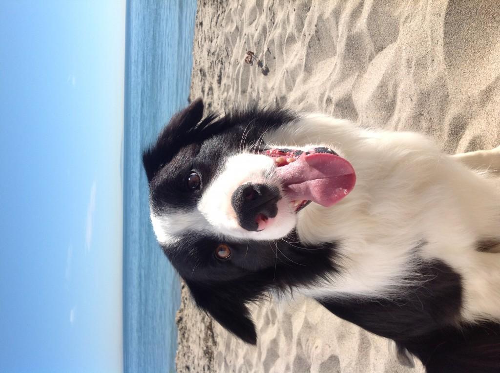 Quelques photos prises avec le nouvel iPad