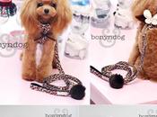 superbes harnais pour chiens