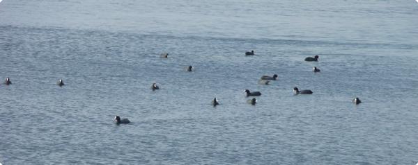 Le tour du Domaine de Certes