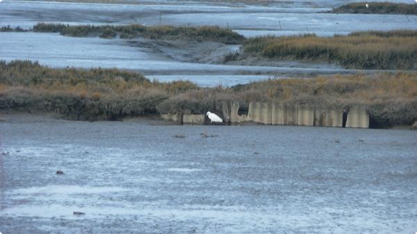 Le tour du Domaine de Certes