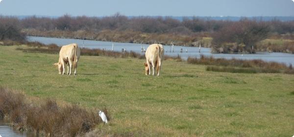 Le tour du Domaine de Certes