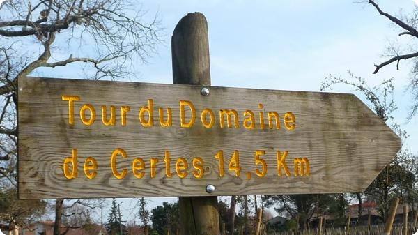Le tour du Domaine de Certes
