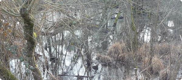 Le tour du Domaine de Certes