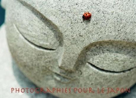 Exposition de photographies pour le Japon