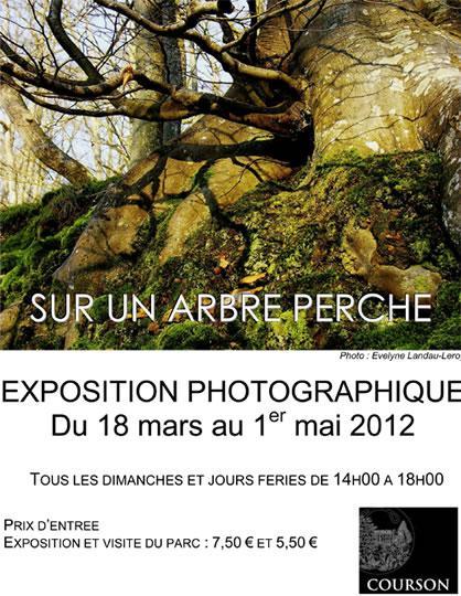 Exposition Sur un arbre perché au domaine de Courson