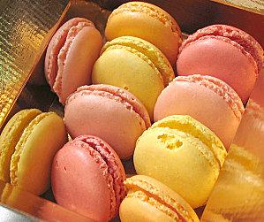 exposition createurs air de printemps tamanoir est blanc.jpg