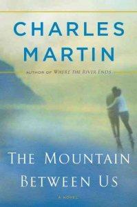 Cinéma : The Mountain Between Us (projet)