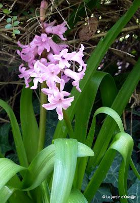 Plusieurs journées successives de beau temps m'auront per...