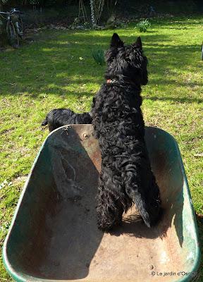 Plusieurs journées successives de beau temps m'auront per...