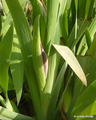 Plusieurs journées successives de beau temps m'auront per...