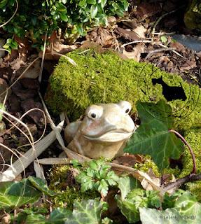 Plusieurs journées successives de beau temps m'auront per...