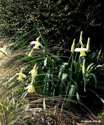 Plusieurs journées successives de beau temps m'auront per...