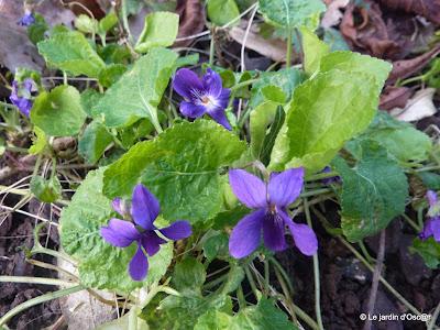 Plusieurs journées successives de beau temps m'auront per...