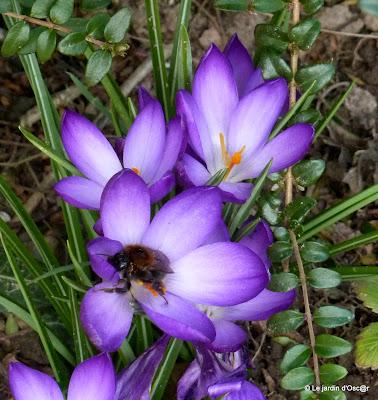 Plusieurs journées successives de beau temps m'auront per...