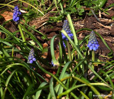 Plusieurs journées successives de beau temps m'auront per...