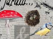 Plusieurs journées successives beau temps m'auront per...