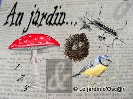 Plusieurs journées successives de beau temps m'auront per...