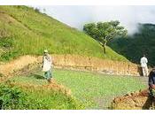 Colombie journaliste encore assassiné