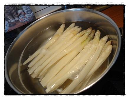 Retour d'expérience congélation asperges, 16 mars 2012