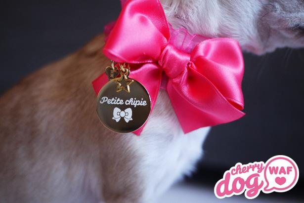 Les médailles pour chiens Cherry Dog : Petite chipie