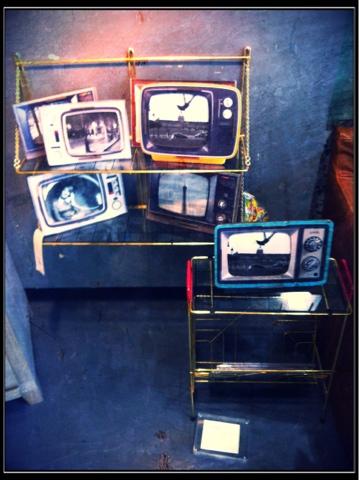 Shopping découverte !