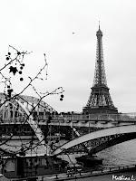 LA PHOTO DE LA SEMAINE #10