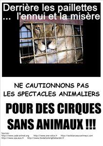 PUBLISHER_Cirque_lionne_qq_minutes